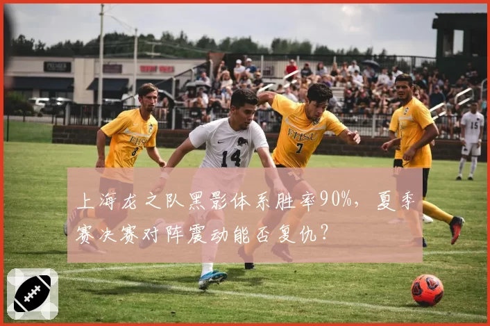 上海龙之队黑影体系胜率90%,夏季赛决赛对阵震动能否复仇?